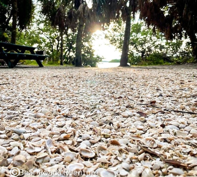Shell pads at Fort De Soto FL