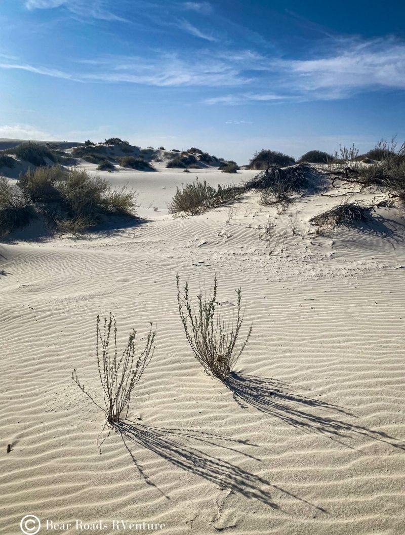 White Sands Dunes